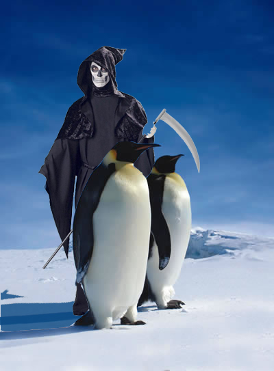emperor_penguin-copy